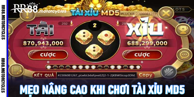 Mẹo nâng cao khi chơi tài xỉu MD5